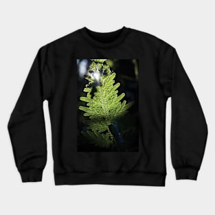 Selaginella - Taman Negara, Malaysia Crewneck Sweatshirt